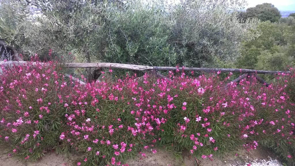 Paciano Piccolo Relais Galletto Di Marzo Spa E Relax Solo Per Due المظهر الخارجي الصورة